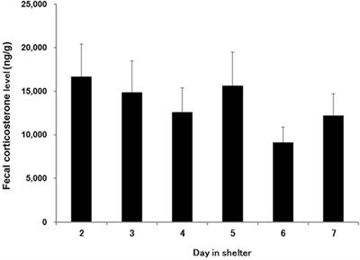 Effects of Sheltering on Behavior and Fecal Corticosterone Level of Elderly Dogs